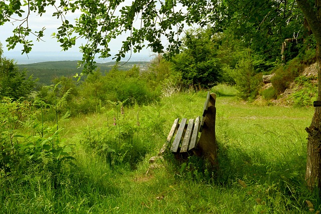 悄然来袭 悄然来袭