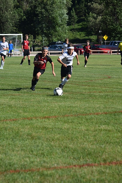 人展示了什 人展示了什