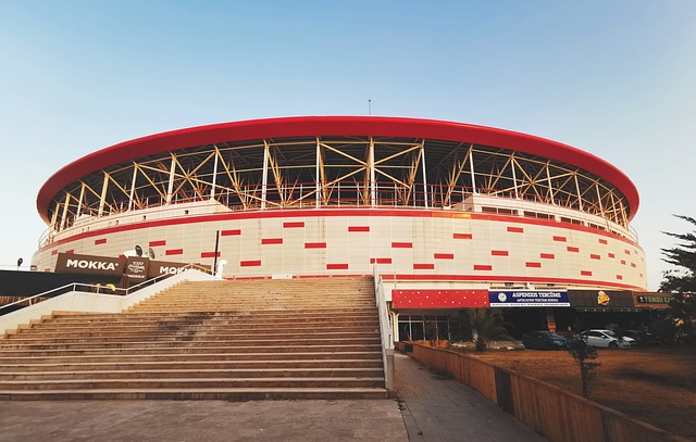 接入欧洲电 接入欧洲电