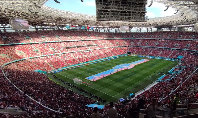 认可和支持 认可和支持