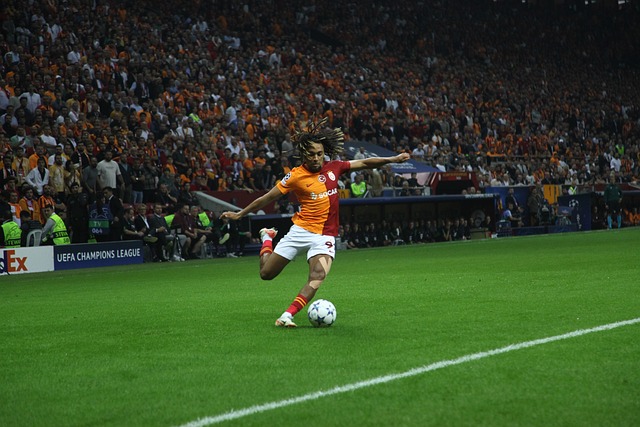 积分榜上的 积分榜上的