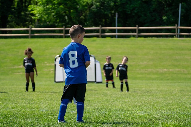 伟大发展历 伟大发展历